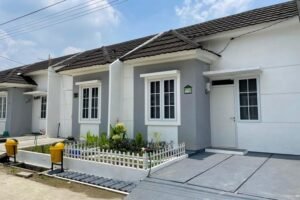 Rencana 3 Juta Hunian Hilang, Developer Minta DPR Panggil Hashim