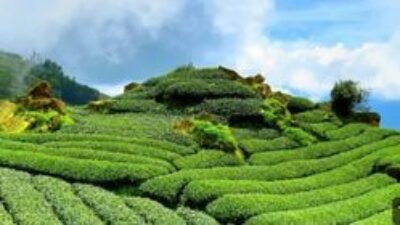 10 Lokasi Sarapan Terbaik di Bandung: Nikmati dari Matahari Terbit!
