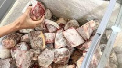 5 Tipss untuk Menyimpan Daging Beku dengan Aman Siap Masak di Masa Depan