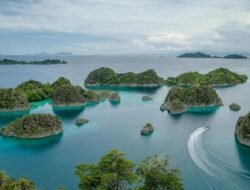 Terungkap! Kepemilikan Tambang Nikel di Raja Ampat: Empat Perusahaan dan Kejutan Dari China?